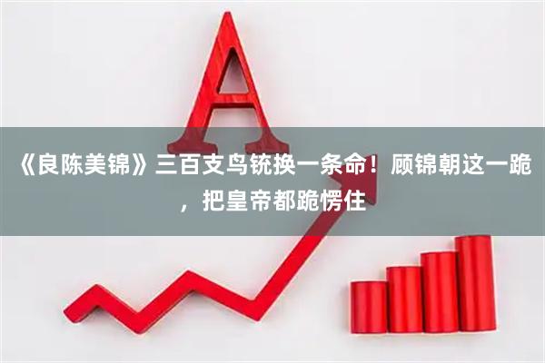 《良陈美锦》三百支鸟铳换一条命！顾锦朝这一跪，把皇帝都跪愣住
