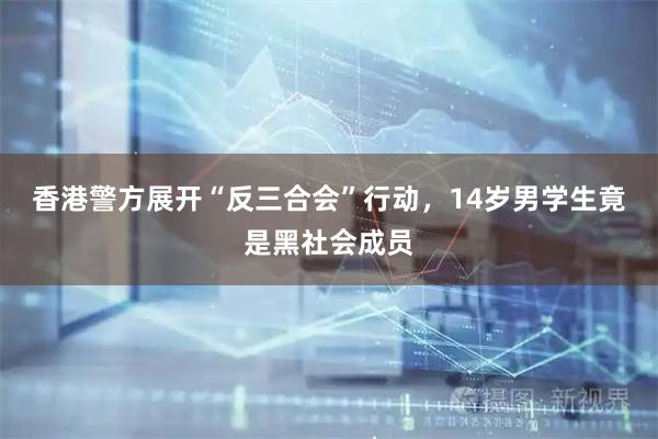 香港警方展开“反三合会”行动，14岁男学生竟是黑社会成员